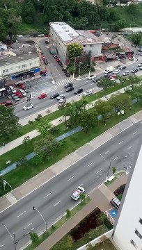 Vaca invade pista e atropela duas pessoas em avenida