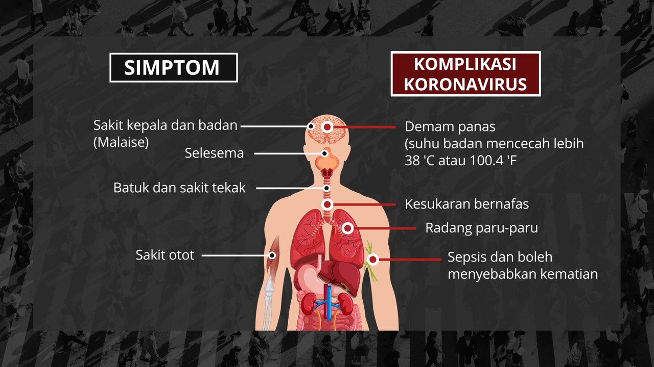 [INFOGRAFIK] Kesan wabak novel koronavirus (2019-nCoV) ke atas badan