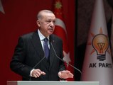 Erdoğan: Döviz kuru, enflasyon, faizlerdeki dalgalanmalar geçiş sürecinin bedelleridir -TAMAMI FTP'DE