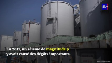 Un séisme de magnitude 7,4 touche le Japon