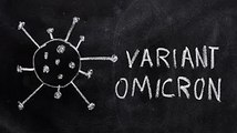 covid-19: découverte d'un nouveau variant , ce que l'on sait