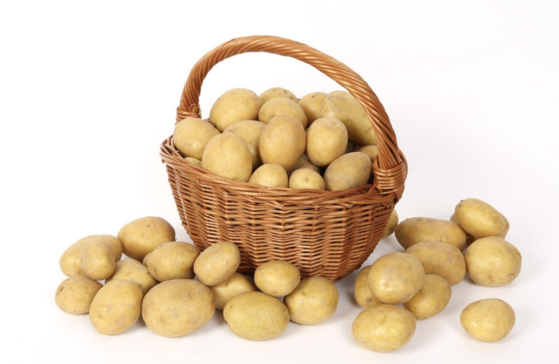 'World's largest potato' denied in record bid following a DNA test