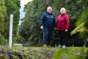 Panther Sighting in Rosebery