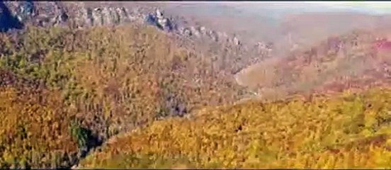 Bande-annonce de "Lawless"