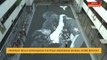 Peminat bola keranjang Filipina abadikan mural Kobe Bryant