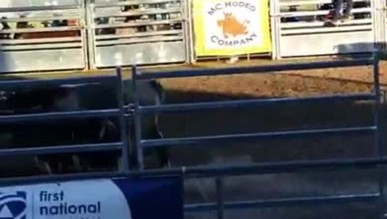 Hobart Show rodeo video