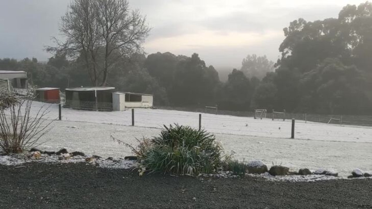 Snow at Calder
