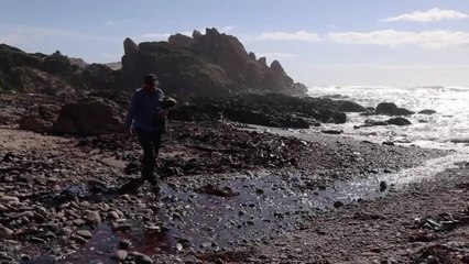 The Journey Begins - Trailer