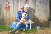 The Advocate - Dogs' Home of Tasmania Winter Appeal