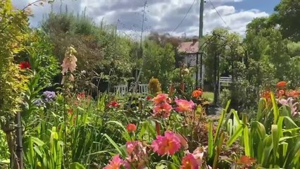 Wynyard's award-winning garden
