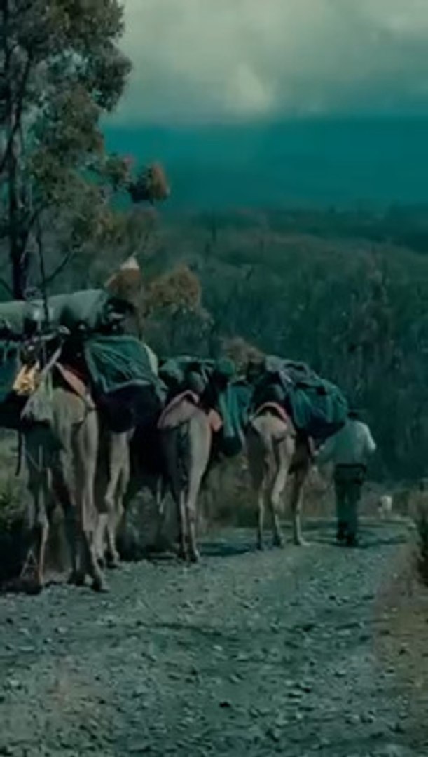 ⁣John Elliott - Camels and Co.