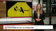 2~2 | Sagen om Mia Skadhauge Stevn & Oliver Ibæk Lund berører hele DK | Situation & Reaktion | 22-02-2022 KL 19.30 | TV2 ØST @ TV2 Danmark
