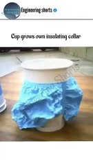 Cup grow own insulating collar