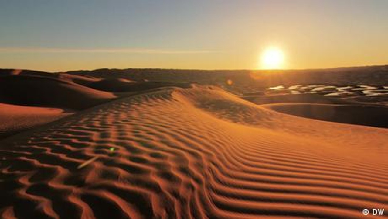 How to hold back the growing deserts?