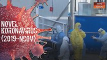 Koronavirus: Korban novel koronavirus di China melebihi 800 orang