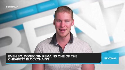 Dogecoin Fees Skyrocketed in 2021