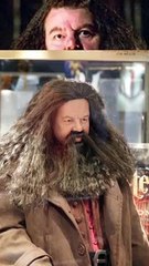 5 Facts Only Book Fans Know About Rubeus Hagrid