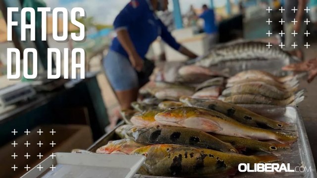 Alta nos preços do pescado chegaram a 12,95% no mês de fevereiro, segundo o Dieese