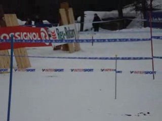 Championnat de France de ski joering 2008