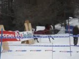 Championnat de France de ski joering 2008