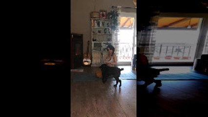 Cat and Dog Love to Interrupt Yoga Session