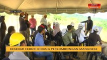 Kesedar ceburi bidang perlombongan mangnese