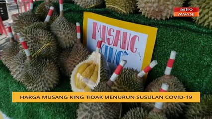 Harga Musang King tidak menurun susulan COVID-19