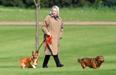 Queen Elizabeth's guest ate dog biscuits