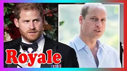 Mémoires du prince Harry: Duke ''en a marre'' William ''a toujours mieux''