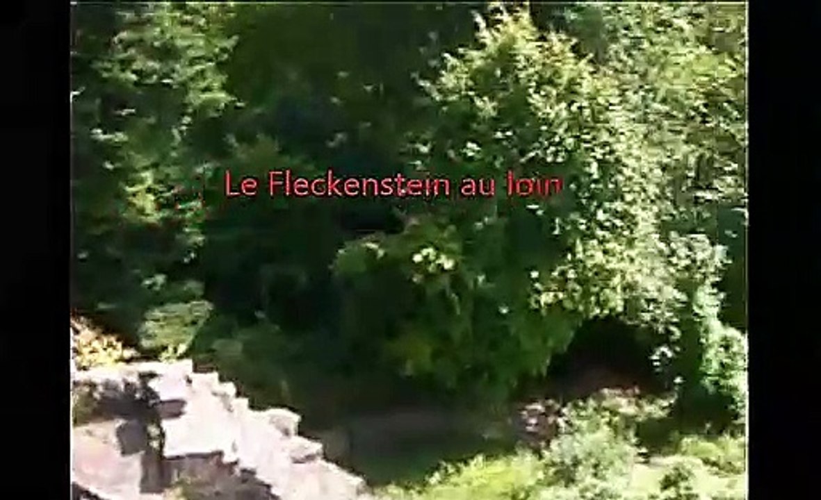 flek