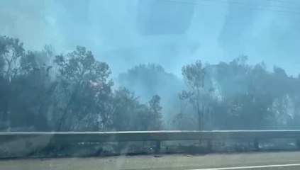 ILLAWARRA MERCURY Motorist breaks down in middle of bushfire
