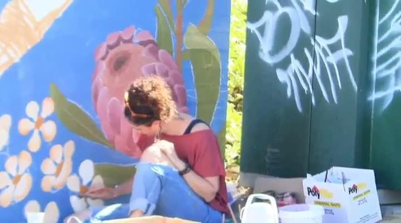 video-1517105805
