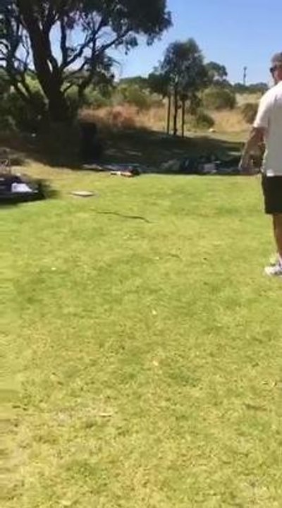 video-1481353223