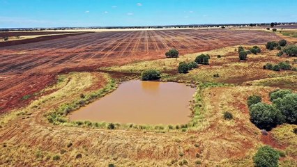 Delamere, Roma | March 2022 | Queensland Country Life