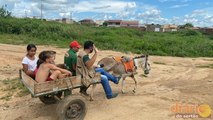 Com acesso destruído, moradores e repórter pegam carroça para saírem da Vila Nova em Cajazeiras