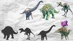CUTE ANIMALS Dinosaurs Troodon, Edmontonia, Ouranosaurus, Futalognosaurus 귀여운 동물 공룡