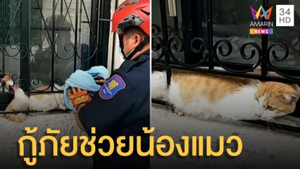 กู้ภัยเข้าช่วยแมวท้องแก่ขาหลังติดเหล็กดัด | ข่าวเที่ยงอมรินทร์ | 18 มี.ค.65