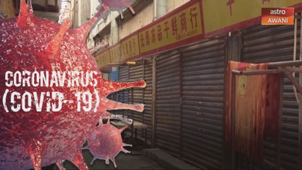 Pakar-pakar dakwa COVID-19 bukan berpunca dari pasar Wuhan