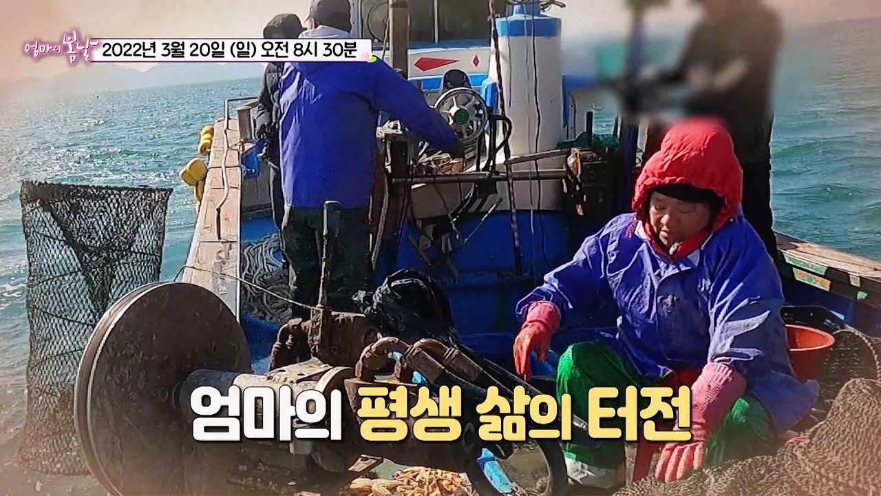 수상한 여관집 여주인_엄마의 봄날 340회 예고 TV CHOSUN 220320 방송