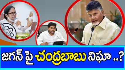 Pegasus: TDP, Chandrababu పై Mamata Banerjee సంచలనం YS Jagan పై నిఘా  | Oneindia Telugu