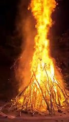 Holika Dahan's happiness appeared after two years