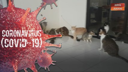 COVID-19: Haiwan peliharaan juga harus duduk di rumah