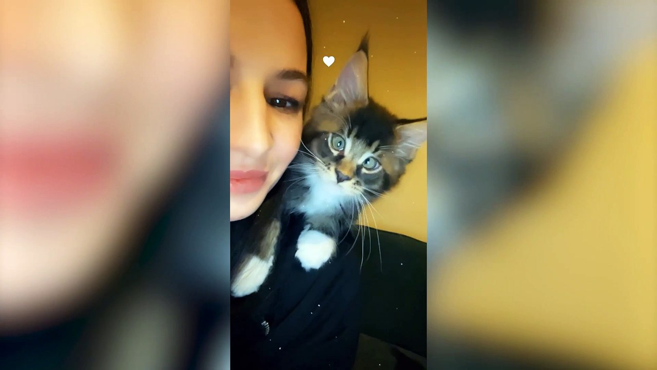 Sight for paw eyes