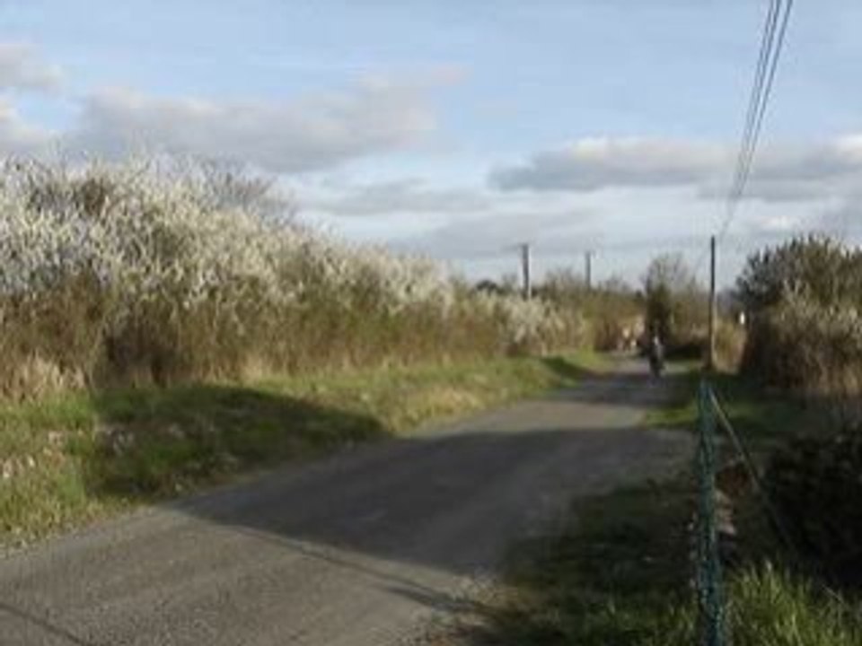 Derbi drd pro malossi départ arreter