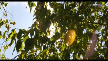 Reportage : Retour sur les 50 ans du Variétés Club de France !