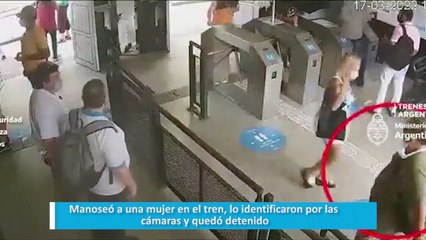 Manoseó a una mujer en el tren, lo identificaron por las cámaras y quedó detenido