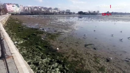 İstanbul Silivri'de deniz çekildi