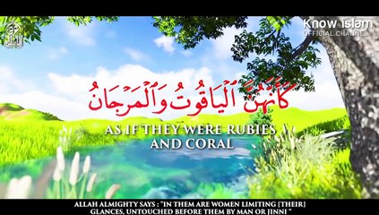 الحور العين كأنهن الياقوت والمرجان  الشيخ سعيد بن مسفر As if They were Rubies And Coral