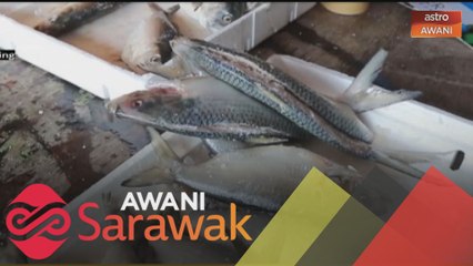 Peniaga ikan terubok masin tidak menang tangan