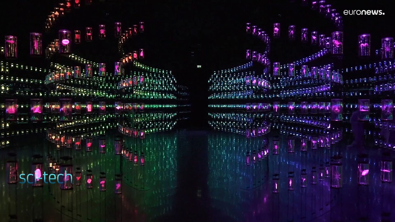 Dubai'de açılan 'Gelecek Müzesi' bilim, teknoloji ve inovasyon alanında küresel merkez olmaya aday